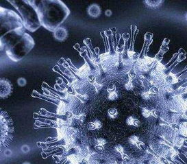 哈佛大学发现肠道微生物可用于化疗 是癌症帮凶还是癌症克星？