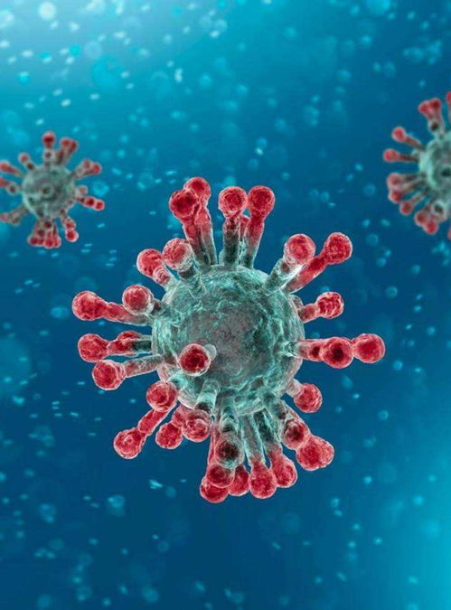 病原微生物 人类健康的隐形敌人与共生伙伴