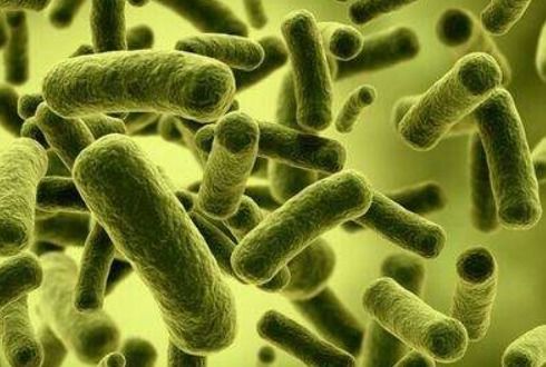 异养微生物与自养微生物最适宜的碳源及其原因