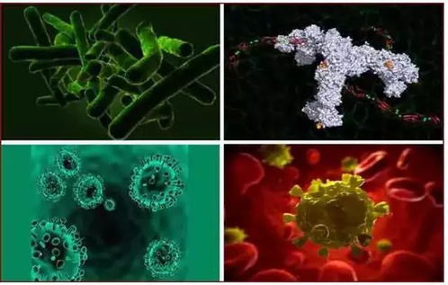 微生物超标导致罐头食品腐败的原因分析**\n\n**正文**\n\n罐头食品经过高温杀菌处理，理论上可长期保存，但在实际生产中，微生物超标仍时有发生，导致腐败变质。本文从多个角度分析其原因，以帮助生产者识别和预防问题。\n\n**一、原料初始条件**\n微生物超标的根本原因之一是原料本身携带大量微生物。例如，海鲜、肉类和蔬菜在采摘、捕获或运输过程中若污染严重，即使后续处理，也难以彻底杀灭。尤其当原料表面有损伤或腐烂时，微生物渗透进入内部，增加了杀菌难度。\n\n**二、杀菌工艺不足**\n适当的杀菌参数（